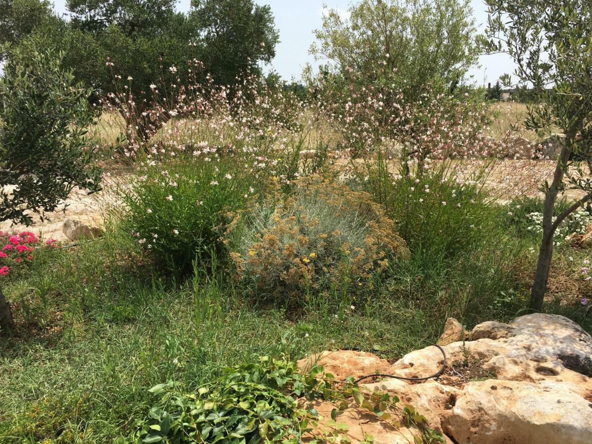 马丁纳弗兰卡Trulli Relais Casa Gemma别墅 外观 照片